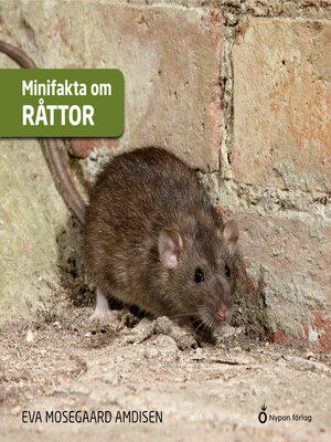 cover image of Minifakta om råttor